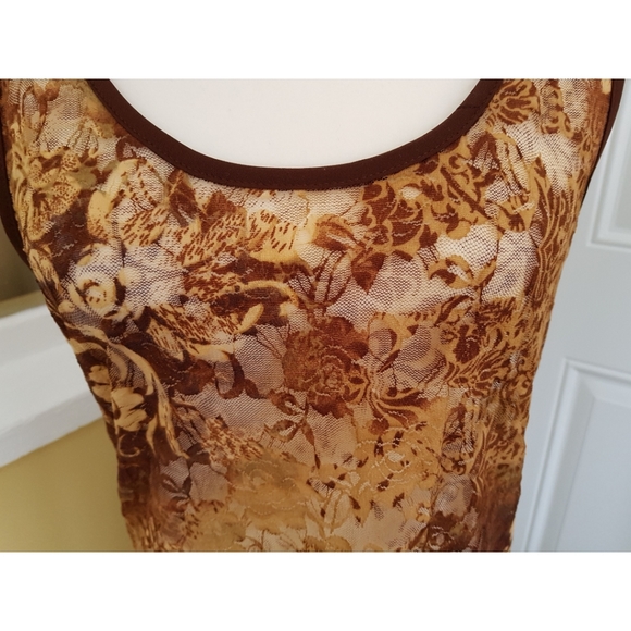 LM Lingerie Sears Sheer Nightgown - Picture 3 of 15